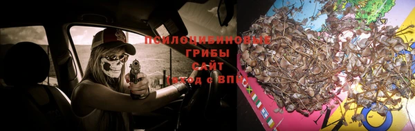 винт Богородск
