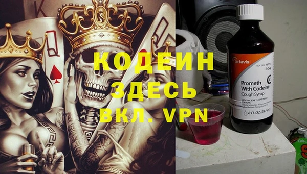 ПСИЛОЦИБИНОВЫЕ ГРИБЫ Богданович