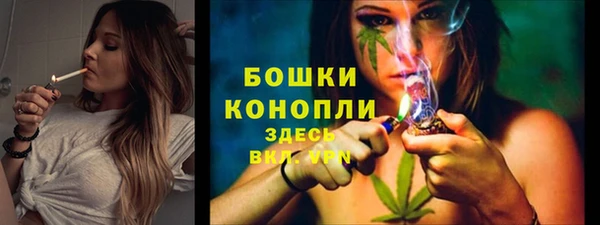 меф Богородицк