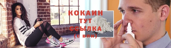 ПСИЛОЦИБИНОВЫЕ ГРИБЫ Богданович