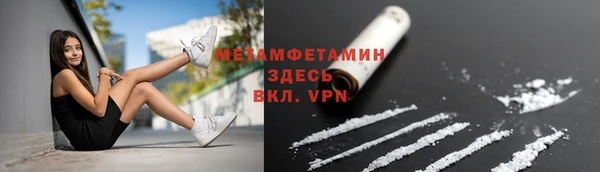 ПСИЛОЦИБИНОВЫЕ ГРИБЫ Богданович