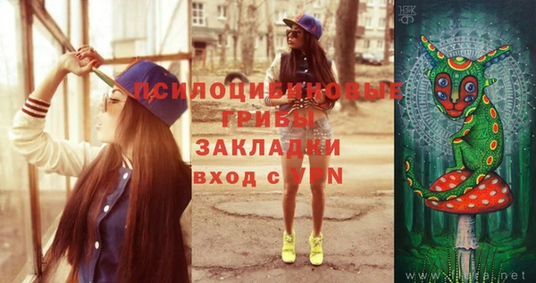 ПСИЛОЦИБИНОВЫЕ ГРИБЫ Богданович