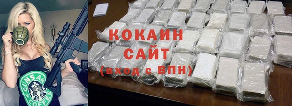 ПСИЛОЦИБИНОВЫЕ ГРИБЫ Богданович