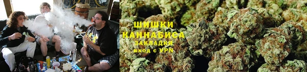 ПСИЛОЦИБИНОВЫЕ ГРИБЫ Богданович