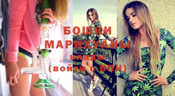 ПСИЛОЦИБИНОВЫЕ ГРИБЫ Богданович